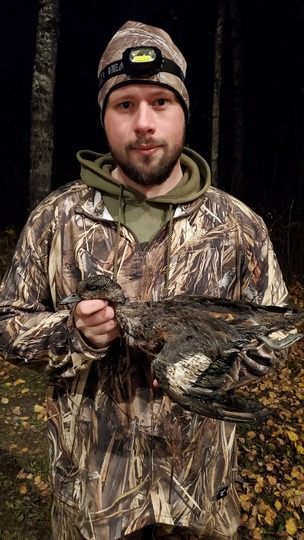 Canard siffleur d’Amérique